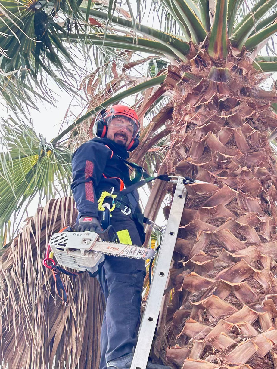 services de gestion arboricole