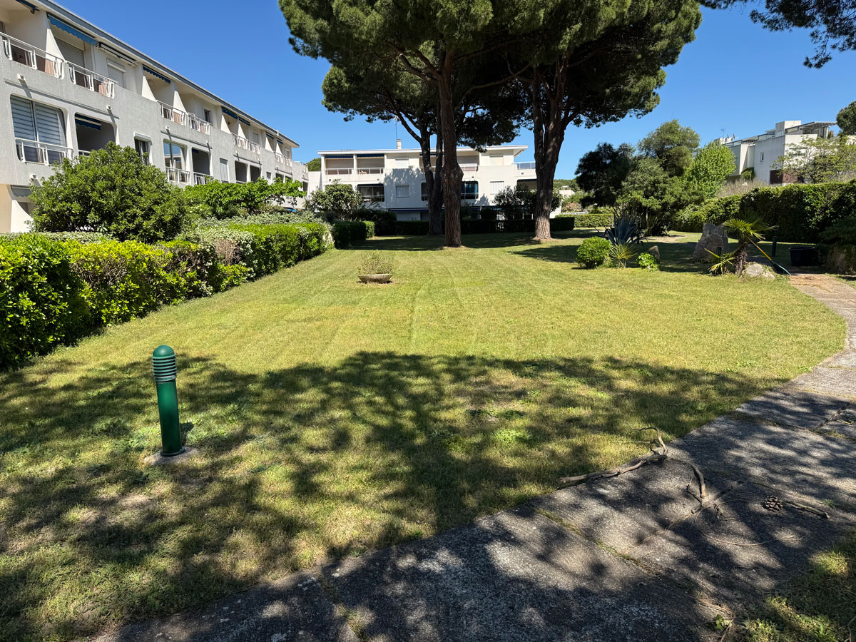 Une technique de taille ! tonte de pelouse pour professionnels et particuliers