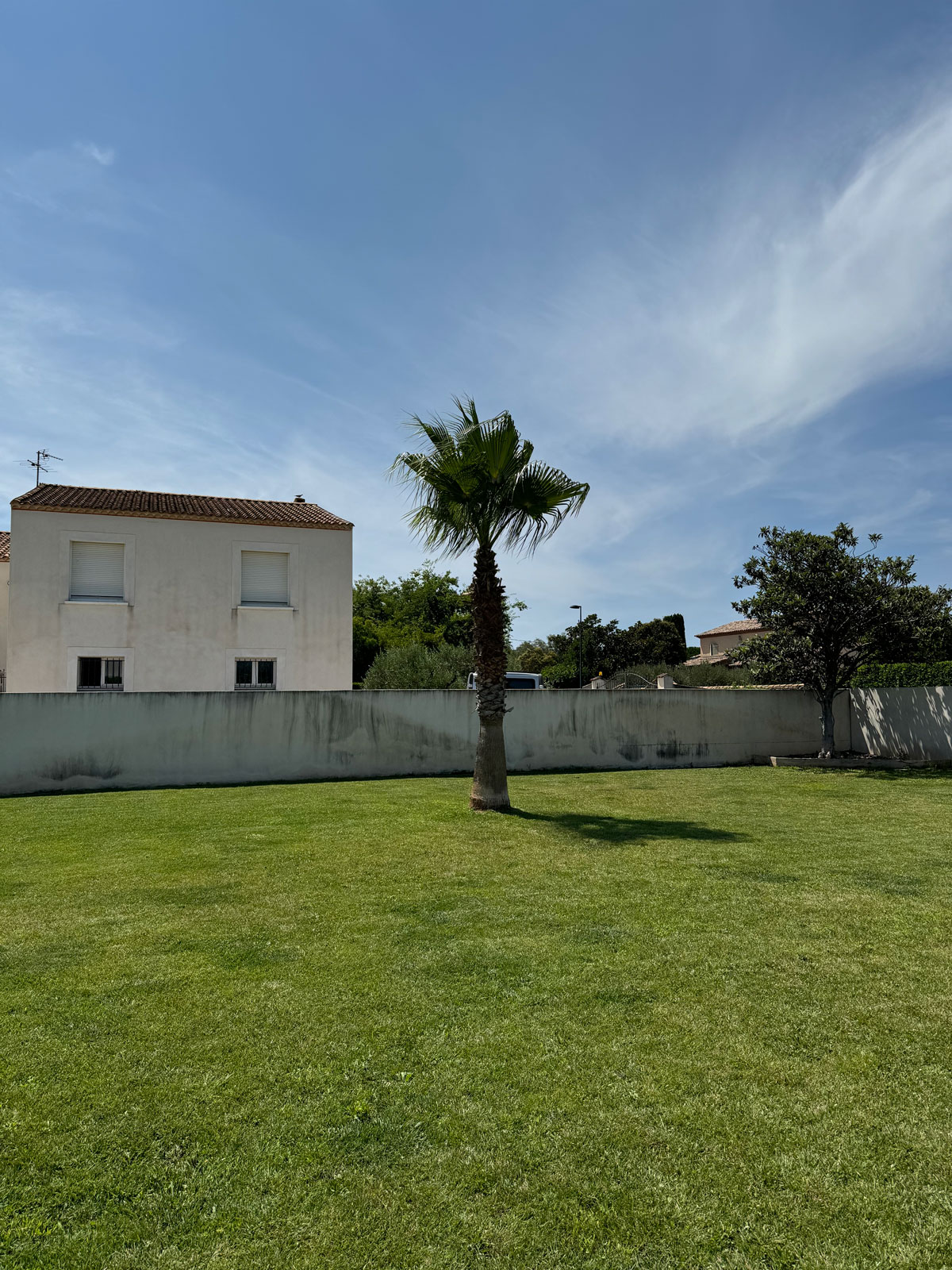 Une technique de taille ! tonte de votre espace vert