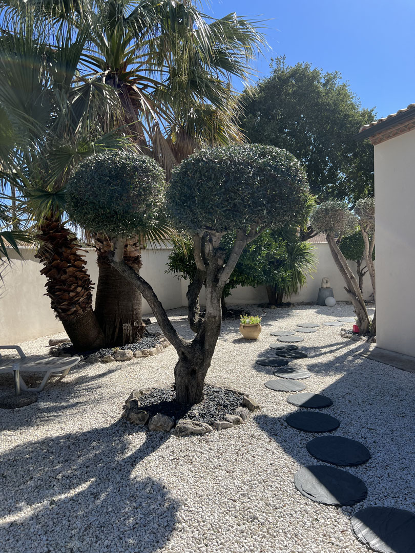 specialiste amenagement exterieur 35